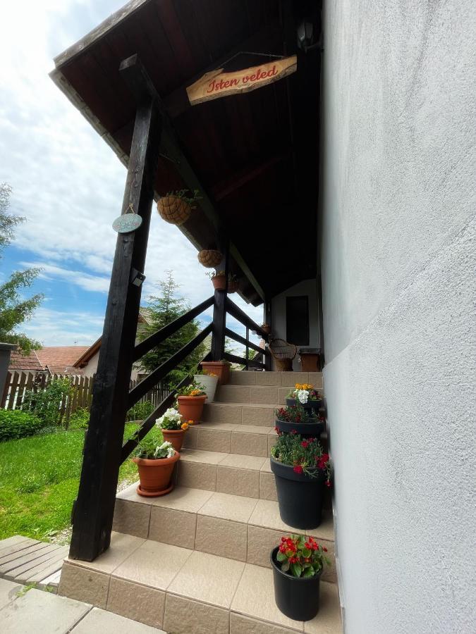 Casa De Oaspeti Cristina Fitod Exterior photo